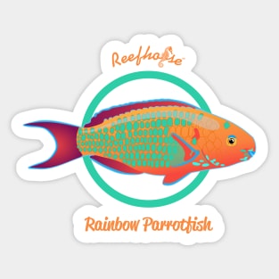 Rainbow Parrotfish Sticker